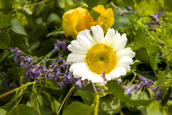 Glad midsommar!